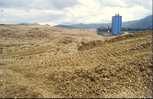 【JNP制漿助劑】 蔗渣